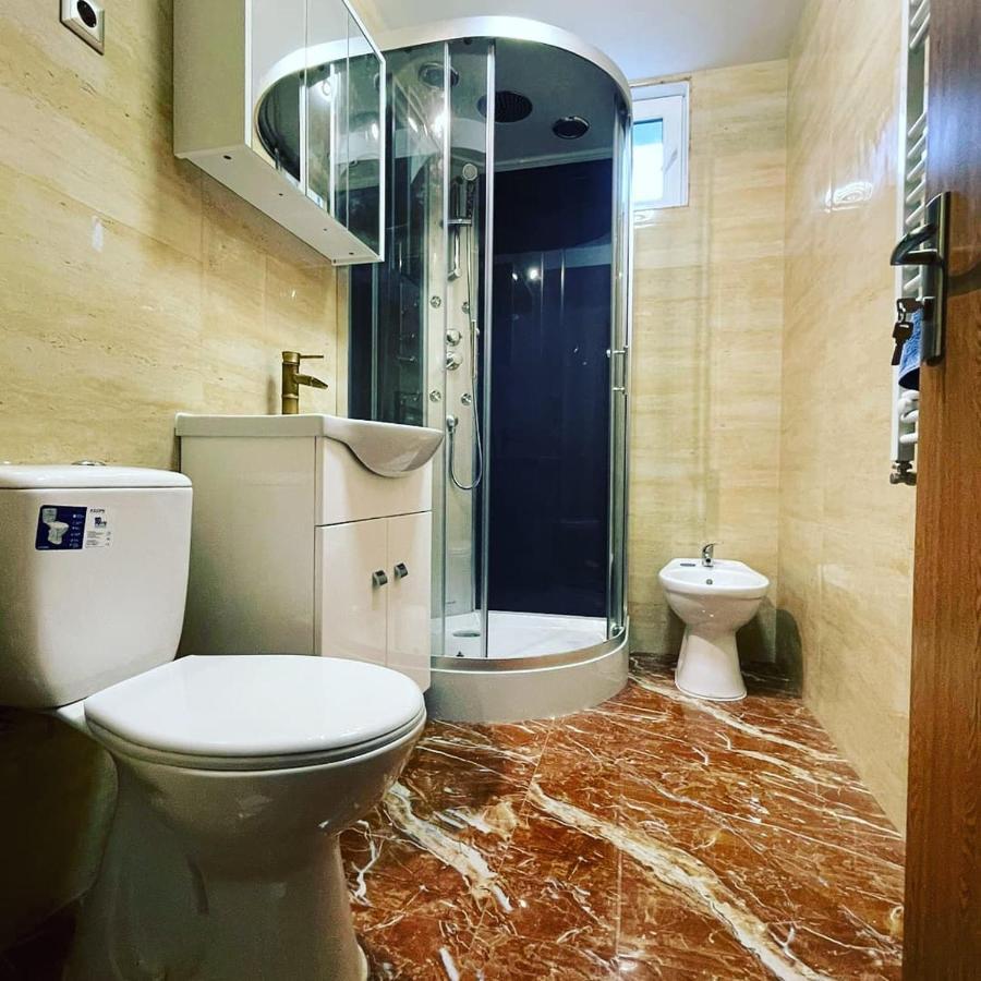 La Bunici Apartment Baia Mare Exterior photo